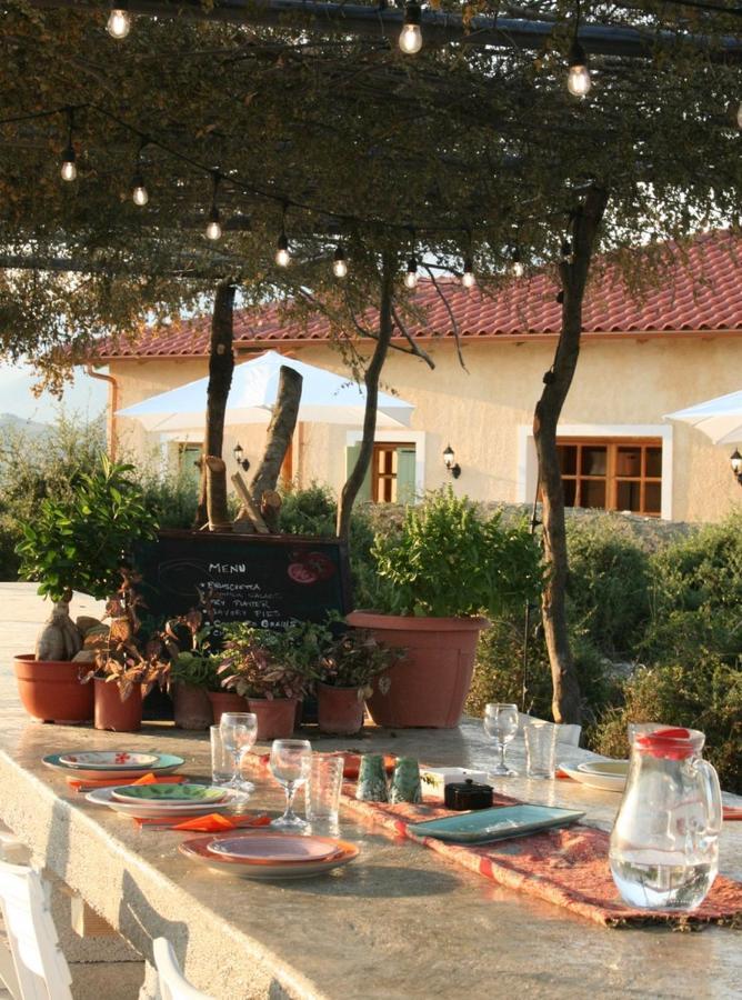 Gospodarstwo agroturystyczne Bote Farms