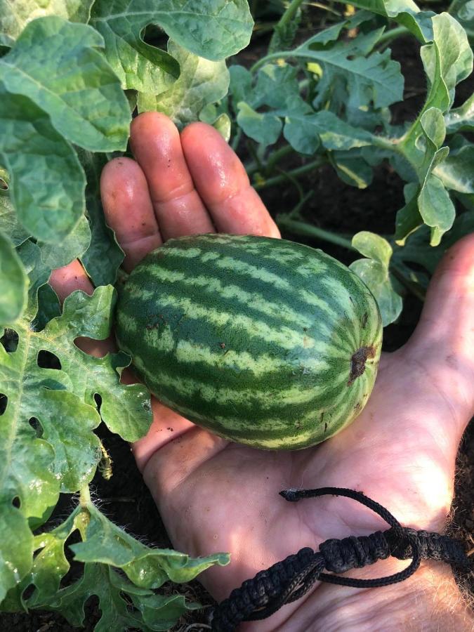 Bote Farms Finiq